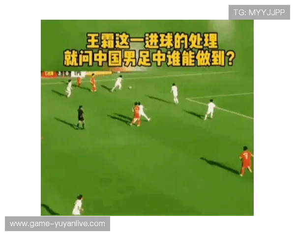 独家解析上海羽毛球队的比赛节奏与对手的差异与影响